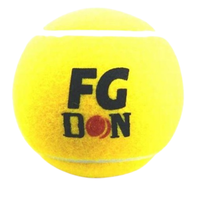 Wizal Cricket Ball Original