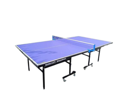 Table tennis table