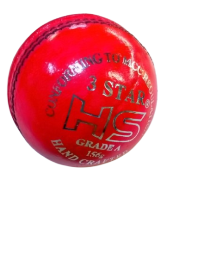 Cricket Hard Ball